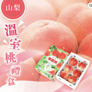 山梨溫室桃禮盒1kg 青秀 (5-6玉)2盒起(可批發)