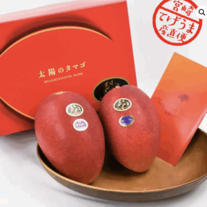 宮崎太陽之子芒果禮盒 1kg/盒10箱起售（可批發）